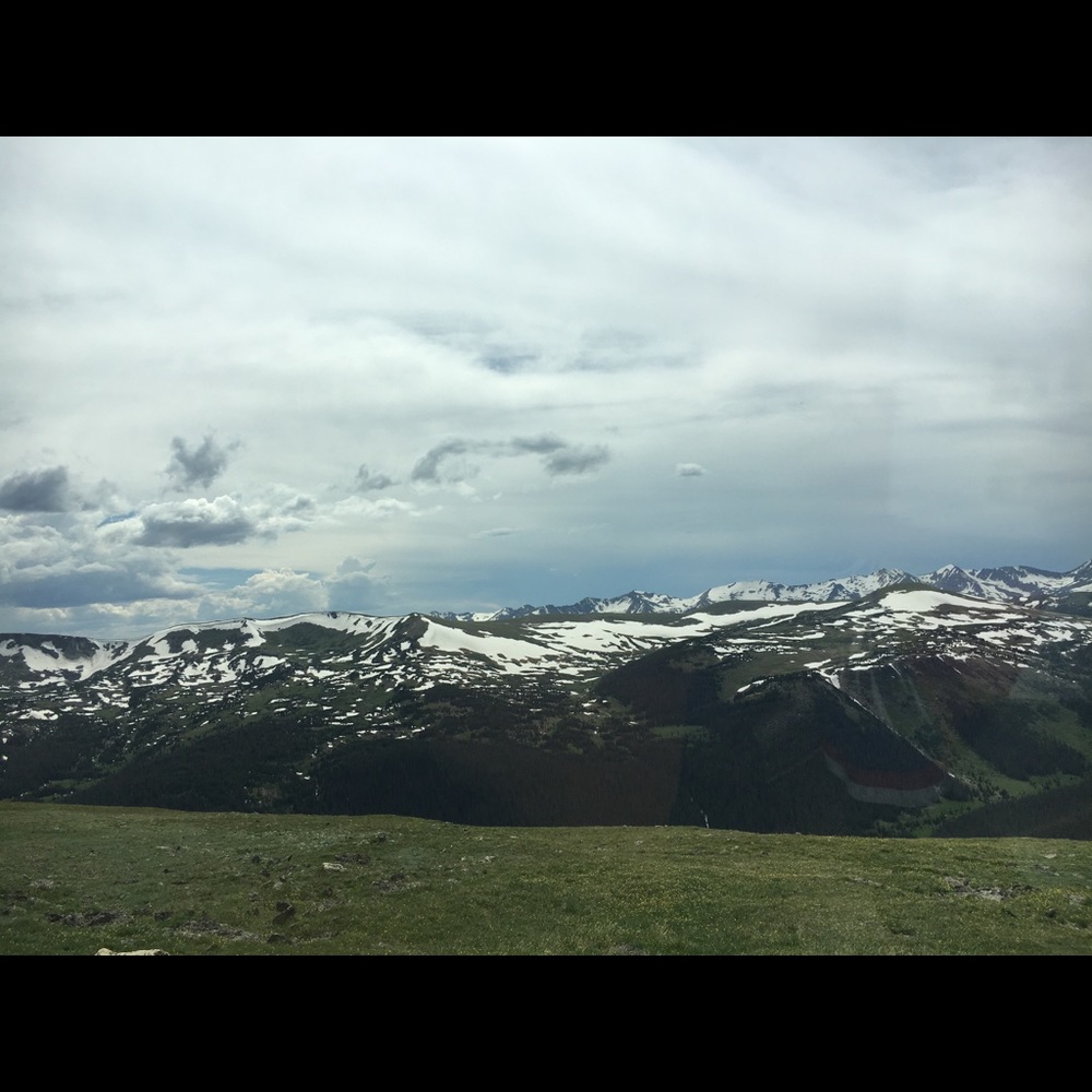 Meet your Posher, Alaina